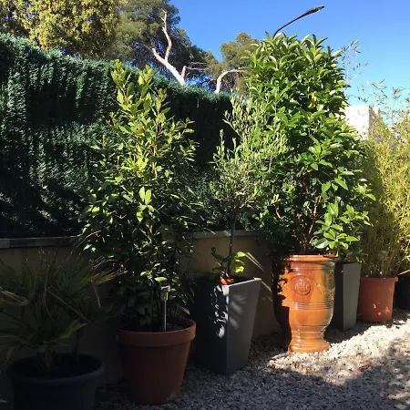 Marcenac 45 M2, Jardin, Parking, Wifi, Netflix *